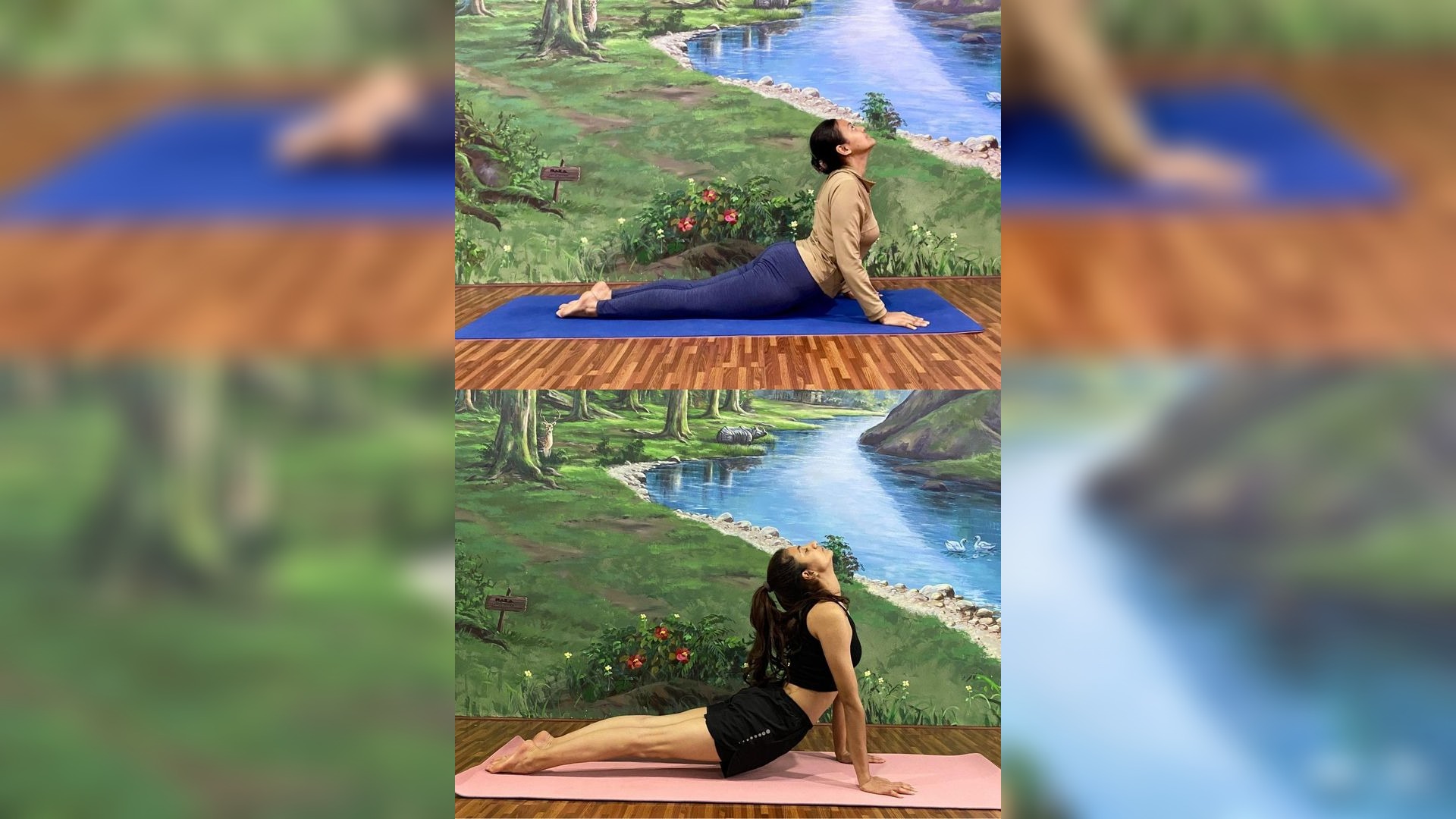 Cobra Pose (Bhujangasana) vs. Upward Facing Dog (Urdhva Mukha Svanasana)